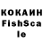 Галлюциногенные грибы мицелий D Fishpool