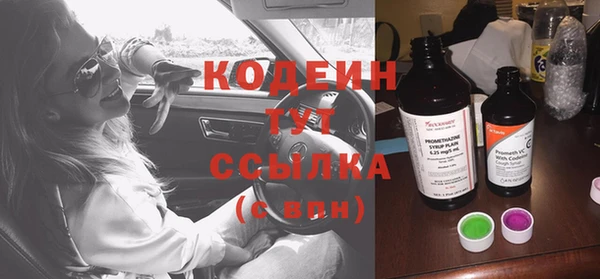 стафф Осинники