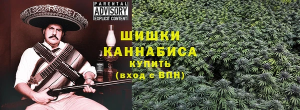 стафф Осинники