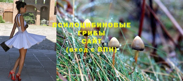 стафф Осинники