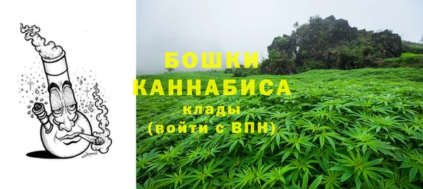стафф Осинники