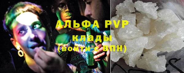 стафф Осинники